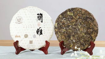 安吉白茶是白茶嗎？細(xì)數(shù)白茶四大品類