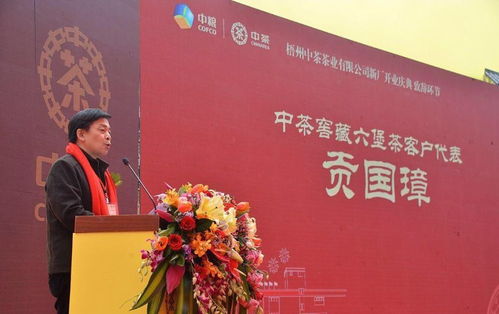 億元新廠啟航，中茶六堡開(kāi)創(chuàng)新篇，亦非云互聯(lián)網(wǎng)元圍棋助力產(chǎn)業(yè)升級(jí)